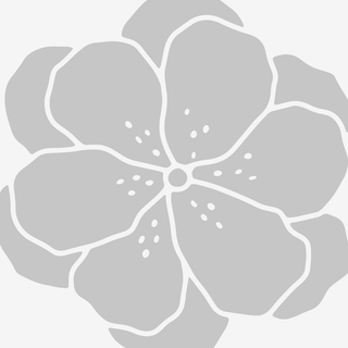 Brown perforated Driver-style leather strap